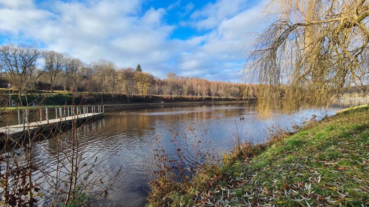 Le Salmoyard, Studio Au Bord Du Lac A Вьельсальм Экстерьер фото